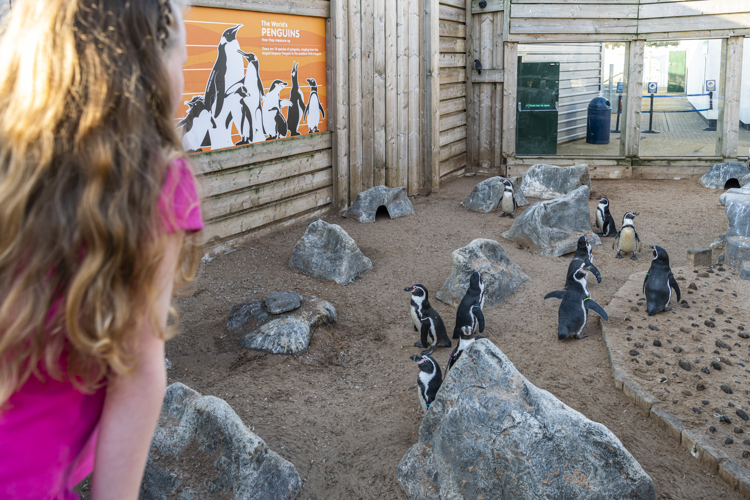 Sealife Hunstanton 082