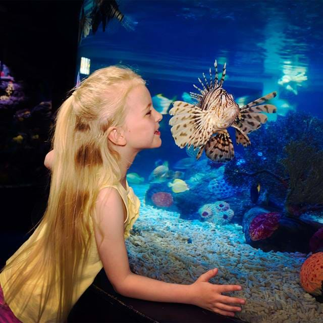 Girl W Lion Fish (1)