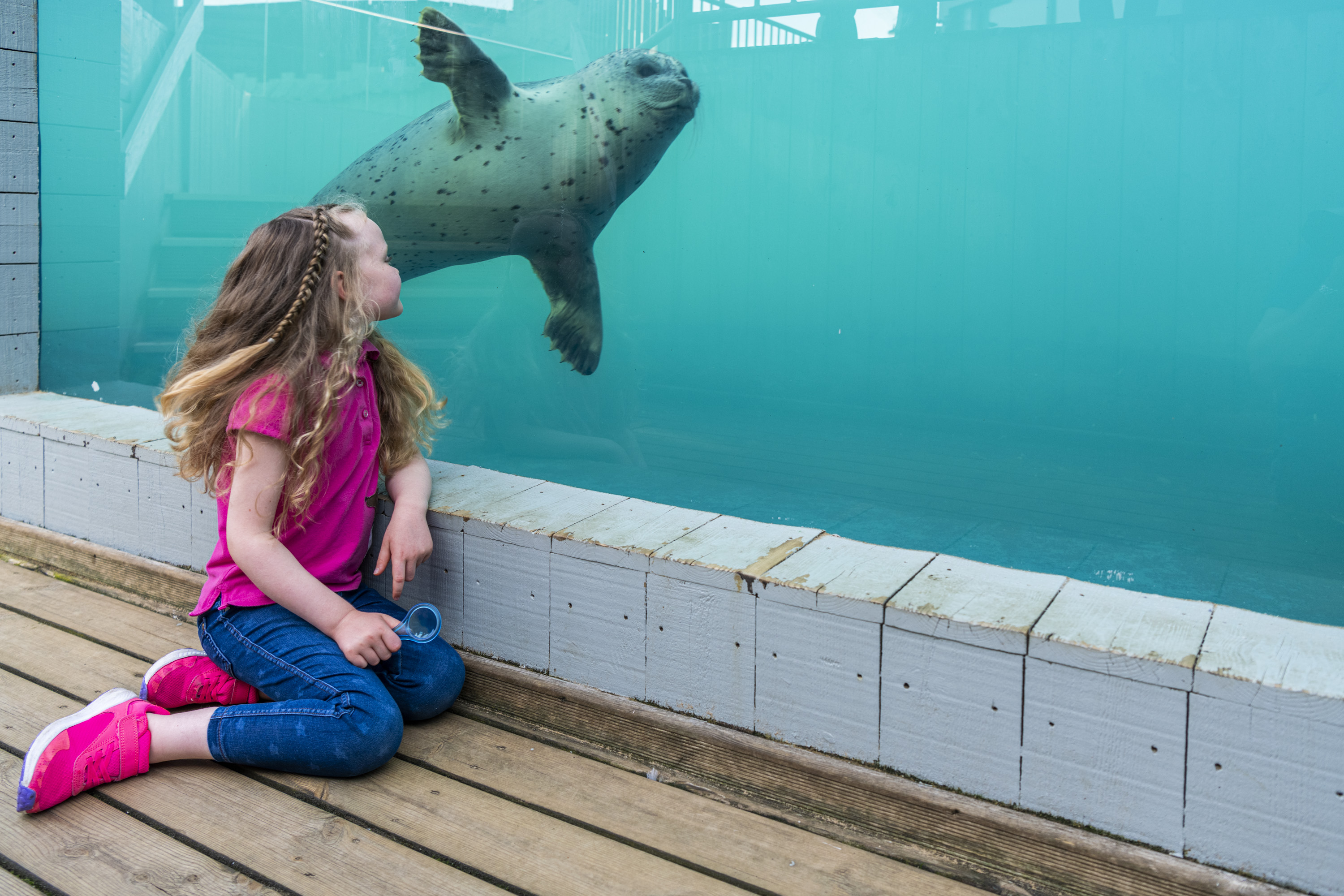 SEA LIFE Hunstanton